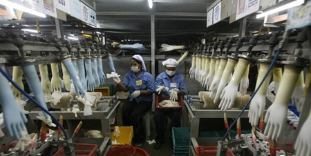 Medical exam gloves being manufactured in a factory.